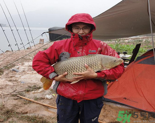 十月份可以釣魚嗎？十月份釣魚用什么餌料？