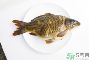 鯉魚(yú)死了還能吃嗎？鯉魚(yú)死了多久不能吃？