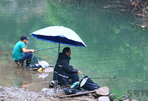 釣的魚怎么保存？釣的魚吃不完怎么保存？