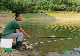 釣的魚怎么保存？釣的魚吃不完怎么保存？