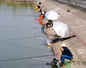 水庫(kù)釣魚用什么餌料？水庫(kù)釣魚用什么商品餌？