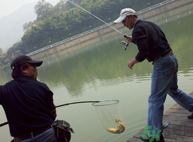 秋季釣黑魚用什么魚餌？秋天釣黑魚用什么餌？