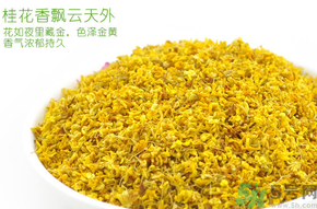 剛摘的桂花有蟲怎么辦？干桂花長蟲怎么辦？