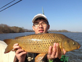 夜釣鯉魚用什么餌料？秋天夜釣鯉魚用什么餌料？