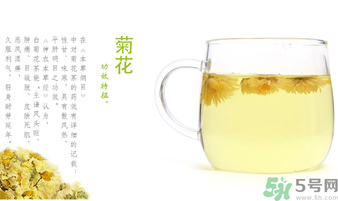 菊花茶可以放冰箱嗎？菊花茶能放冰箱冷凍嗎？