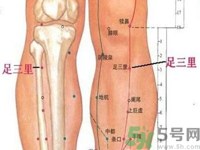 艾灸足三里有什么好處？艾灸足三里的功效