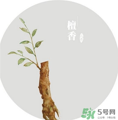 點(diǎn)檀香的好處 檀香的功效與作用