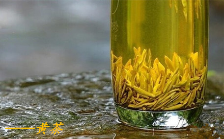 黃茶產(chǎn)地哪里最好 黃茶什么季節(jié)喝比較合適