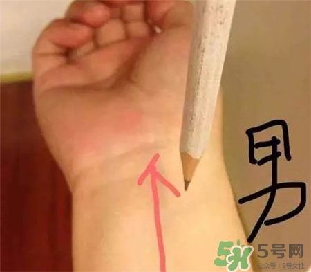 用鉛筆怎么測胎兒性別?用鉛筆和針測男女性別準嗎?