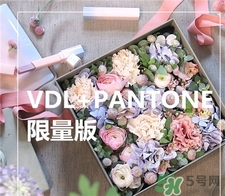 vdl限量版眼部妝前乳多少錢?vdl限量版眼部打底專柜價(jià)格