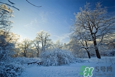 下雪天會打雷嗎？下雪天為什么會大雷？