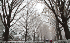 下雪要注意些什么 雨雪大風(fēng)降溫即將再度上線