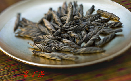 苦丁茶是涼性還是熱性 苦丁茶產(chǎn)自哪里