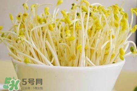 冬天可以發(fā)豆芽嗎？冬天怎樣發(fā)黃豆芽？