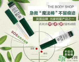 the body shop茶樹急救棒怎么用？美體小鋪茶樹祛痘急救棒用法