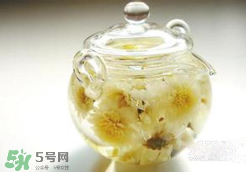 菊花茶什么時(shí)候喝最好？菊花茶什么季節(jié)喝最好？