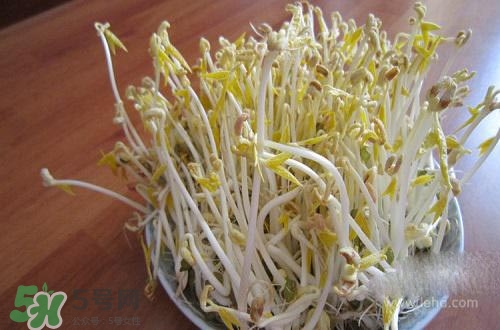 豆芽糖尿病可以吃嗎？糖尿病吃豆芽有什么好處？