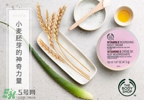 the body shop維e晚霜怎么用？美體小鋪維e晚霜使用方法