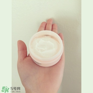 the body shop維e晚霜怎么用？美體小鋪維e晚霜使用方法