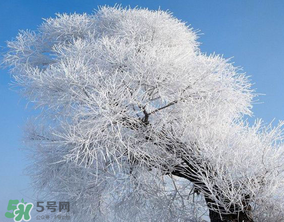 2017年第一場(chǎng)雪什么時(shí)候？2017年什么時(shí)候下雪？