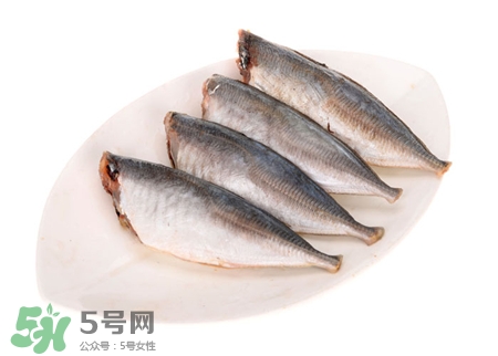 沙丁魚的營養(yǎng)價(jià)值 沙丁魚的功效與作用