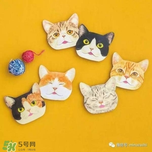 felissimo貓爪化妝棉多少錢(qián)？felissimo貓爪化妝棉哪里買(mǎi)？