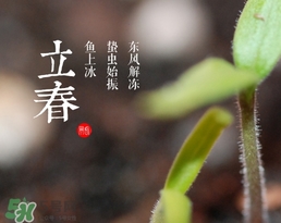 立春吃什么蔬菜？立春時令蔬菜推薦