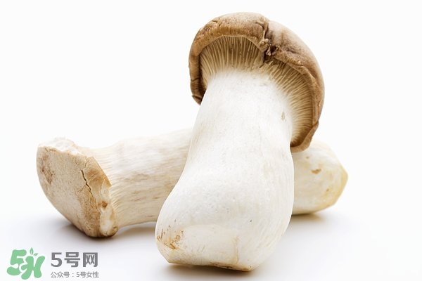 杏鮑菇長(zhǎng)白毛還能吃嗎 杏鮑菇有白毛還能吃嗎