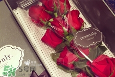 roseonly鮮花怎么保養(yǎng)？roseonly永生花怎么保養(yǎng)？