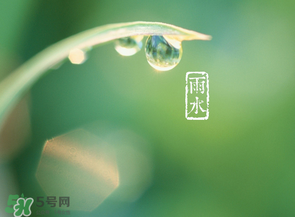 雨水吃什么？雨水節(jié)氣飲食禁忌？