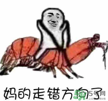 說(shuō)人皮皮蝦是什么意思？女生叫男生皮皮蝦什么意思？