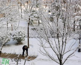 春天下雪意味著什么？春天為什么會(huì)下雪？