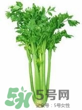 負卡路里的食物有哪些？負卡路里食物真的吃不胖嗎？