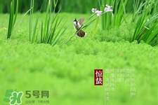 驚蟄吃什么蔬菜好？驚蟄節(jié)氣養(yǎng)生吃什么蔬菜？