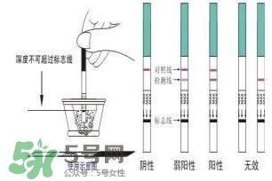 驗孕試紙準嗎？驗孕試紙怎么看求圖解