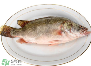 三月份吃什么魚？3月份吃什么魚好？