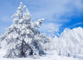 三月份還會(huì)下雪嗎？哈爾濱三月份還有雪嗎？