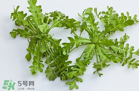 薺菜是什么菜？薺菜是什么野菜？