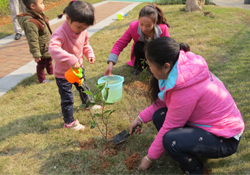 植樹節(jié)一般種什么樹？植樹節(jié)種什么樹比較好？