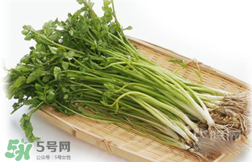 吃野芹菜會中毒嗎？吃野芹菜中毒了怎么辦？