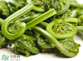 蕨菜怎么洗？蕨菜怎么清洗才干凈？