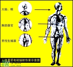 防輻射服什么時候開始穿？防輻射服真的有用嗎？