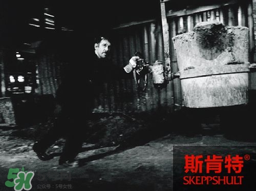 斯肯特是什么牌子 skeppshult是否瑞典產(chǎn)