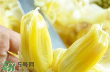 菠蘿蜜怎么吃？菠蘿蜜好吃嗎？