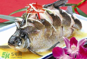 枇杷和魚能一起吃嗎？吃完魚可以吃枇杷嗎？