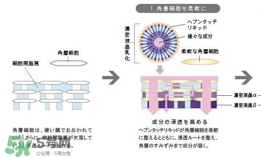 pola極光精華怎么用？pola極光精華使用方法