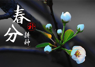 春分吃春菜有什么好處？春菜有什么營(yíng)養(yǎng)價(jià)值？