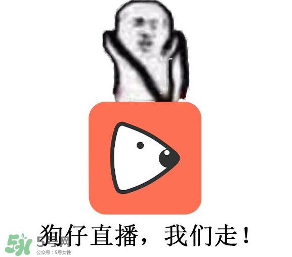 黃鱔為什么火了？黃鱔我們走為什么火了？