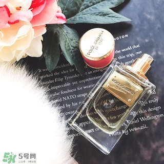 dolce gabanna香水哪款好聞？DG杜嘉班納香水推薦