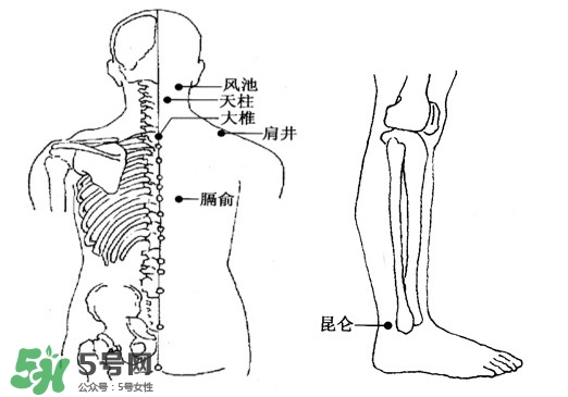 刮痧能治頸椎病嗎？頸椎病刮痧正確圖片